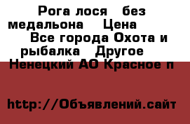 Рога лося , без медальона. › Цена ­ 15 000 - Все города Охота и рыбалка » Другое   . Ненецкий АО,Красное п.